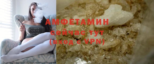 прущие грибы Балахна