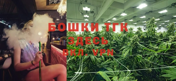 экстази Арсеньев