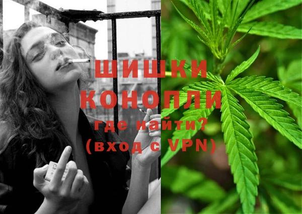 ешки Аркадак