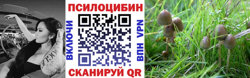 Галлюциногенные грибы прущие грибы  закладка  Бирюсинск 