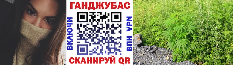 Бошки Шишки планчик  Бирюсинск 